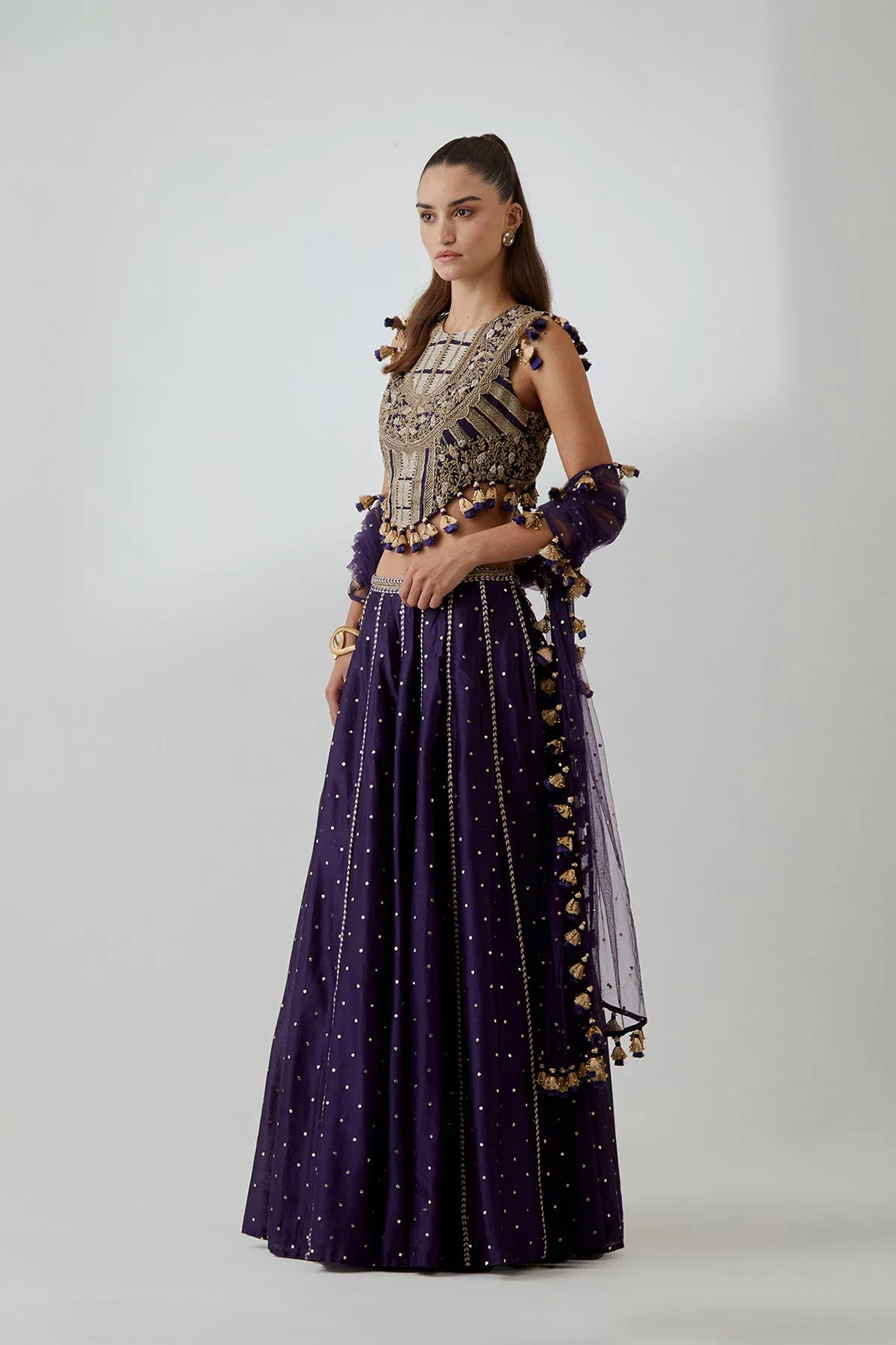 Purple Georgette Embroidered Choli With Mukaish Silkmul Lehenga And Mukaish Net Dupatta by Payal Singhal, view 3
