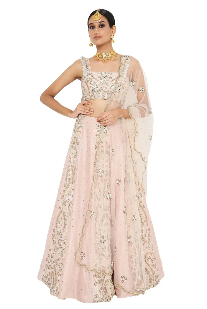 Athina Rose Pink Colour Embroidered Choli with Lehenga and Net Embroidered Dupatta by Payal Singhal