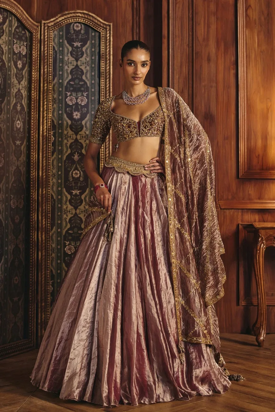 Sanaya by Mahima Mahajan, red lehenga, view 4