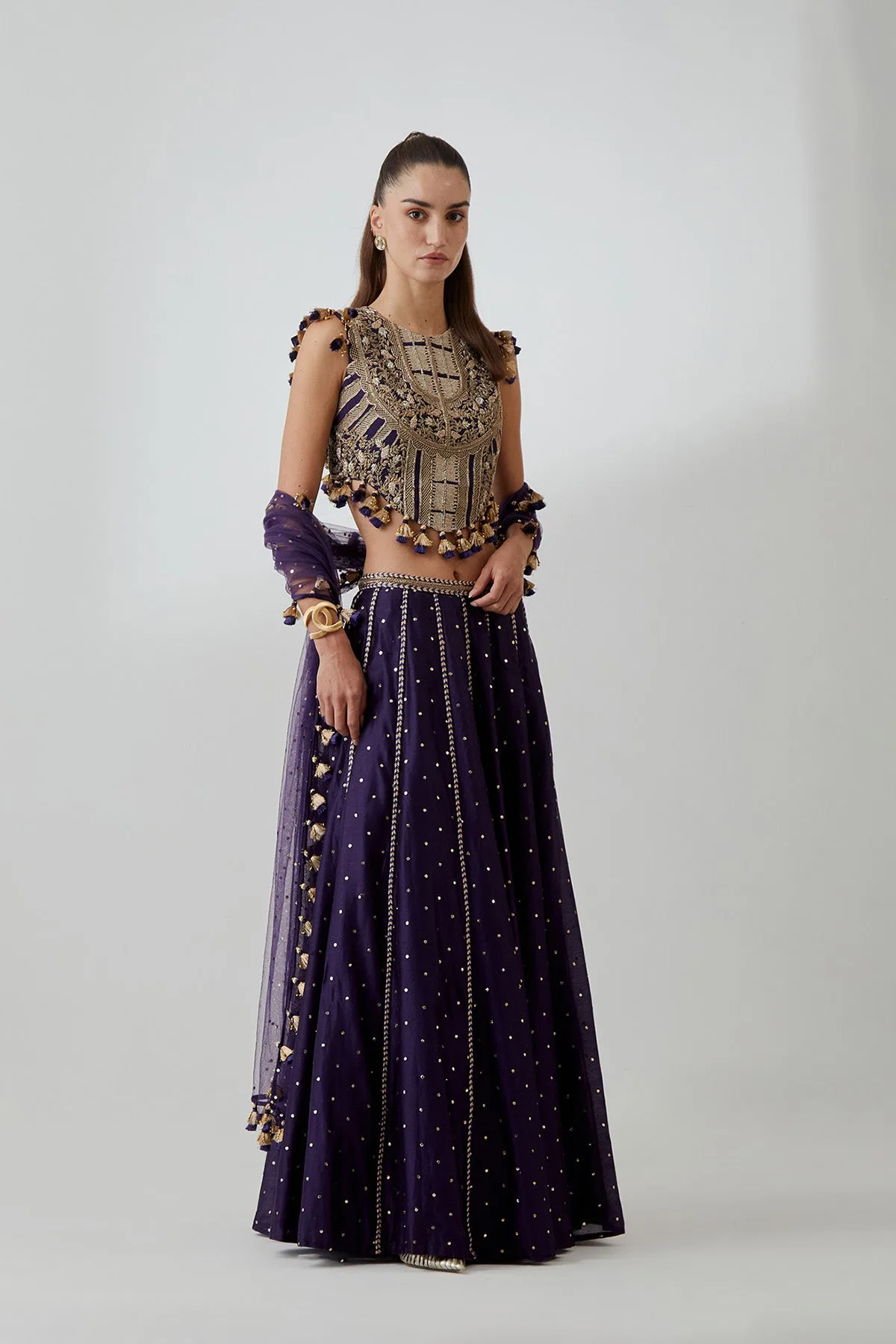 Purple Georgette Embroidered Choli With Mukaish Silkmul Lehenga And Mukaish Net Dupatta by Payal Singhal, view 2