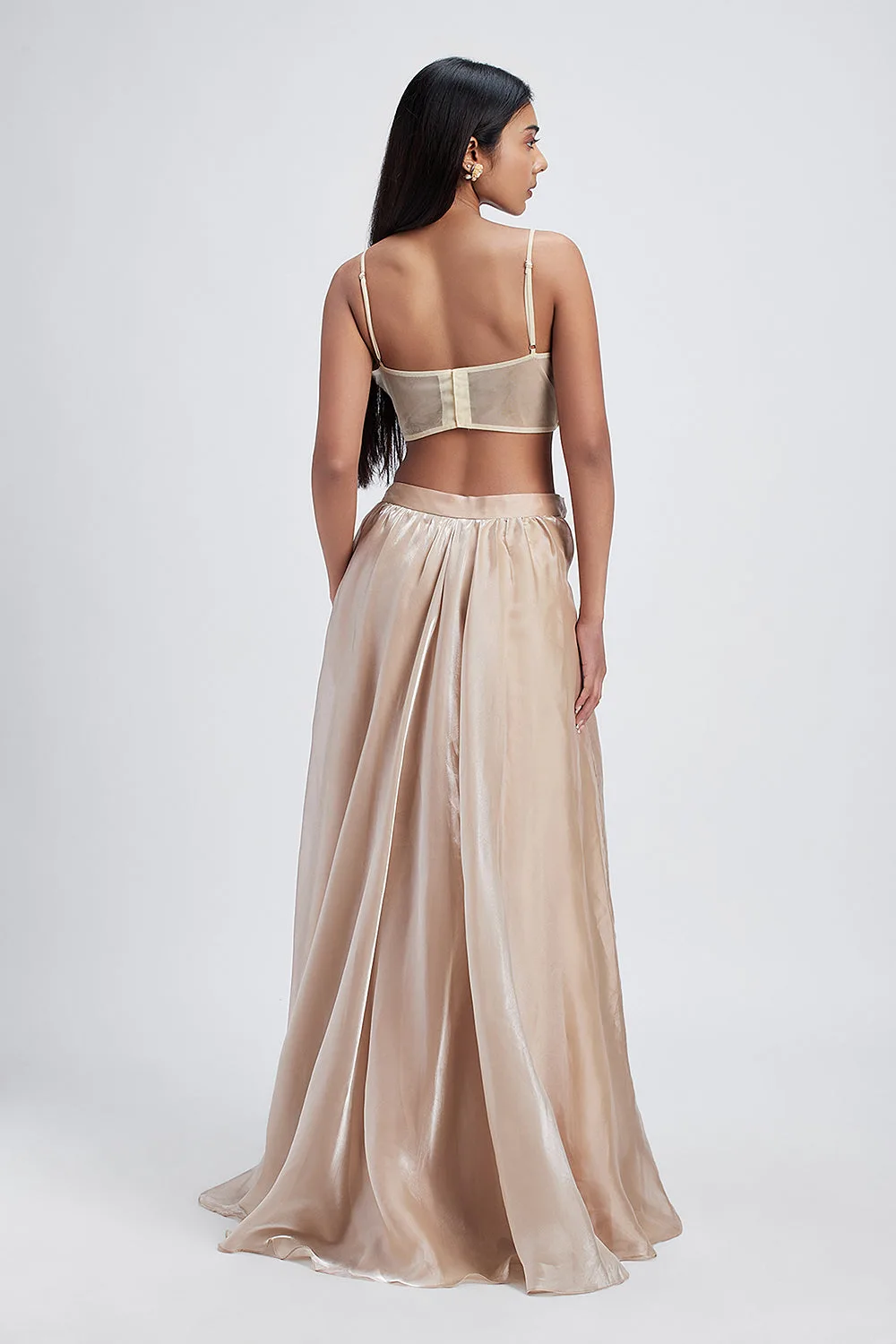 Sandstone Diary - Lehenga Set by Papa Don't Preach, view 2