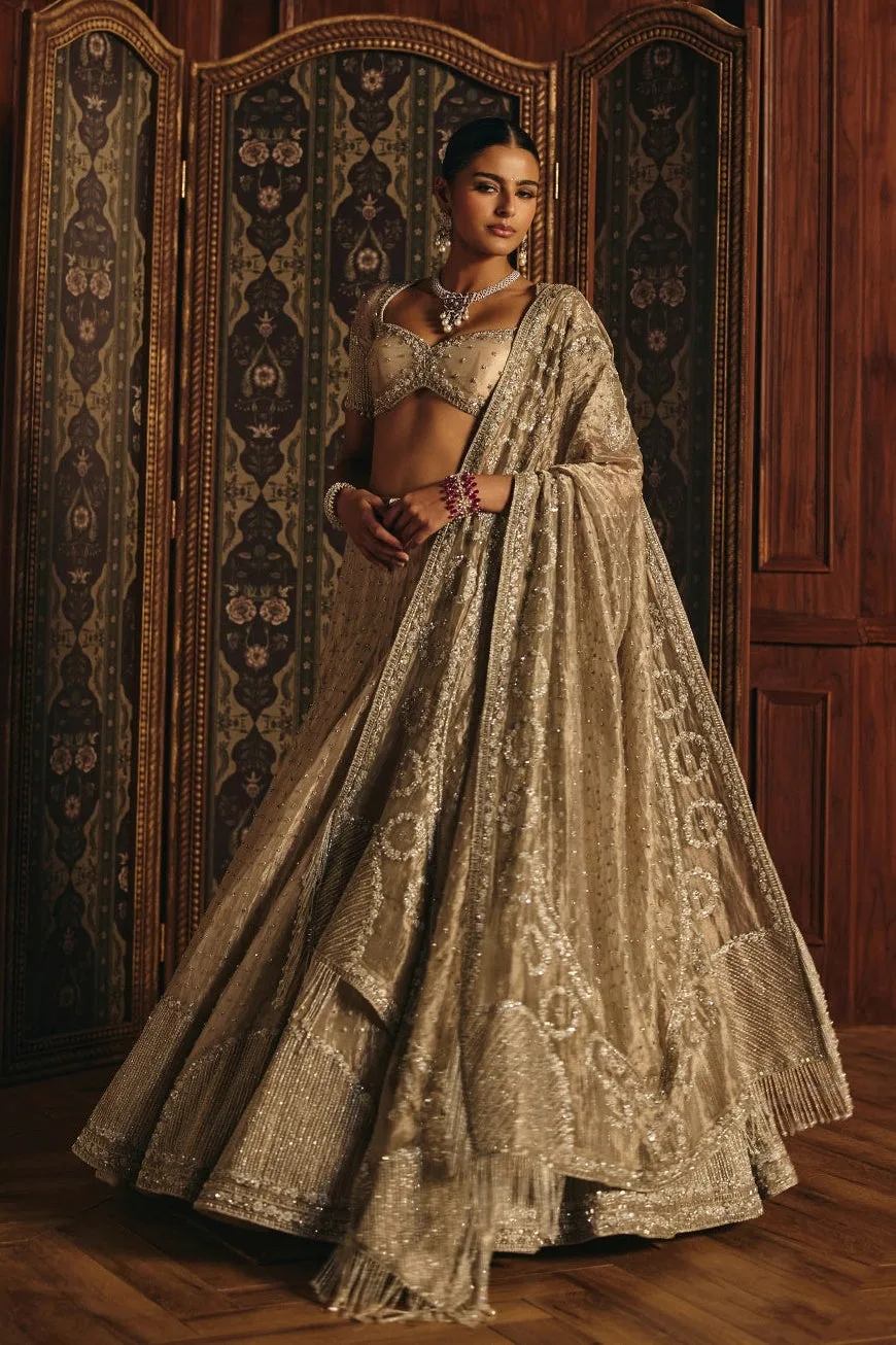 Chavvi by Mahima Mahajan, silver lehenga, view 2