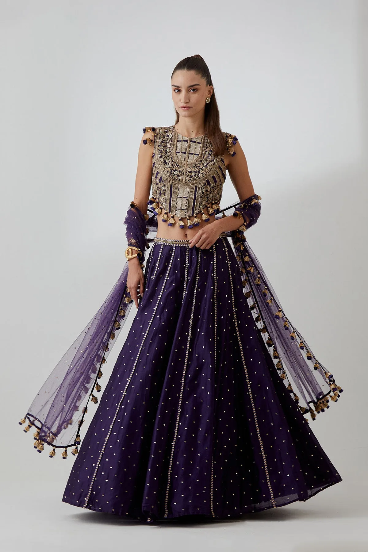 Purple Georgette Embroidered Choli With Mukaish Silkmul Lehenga And Mukaish Net Dupatta by Payal Singhal, view 4