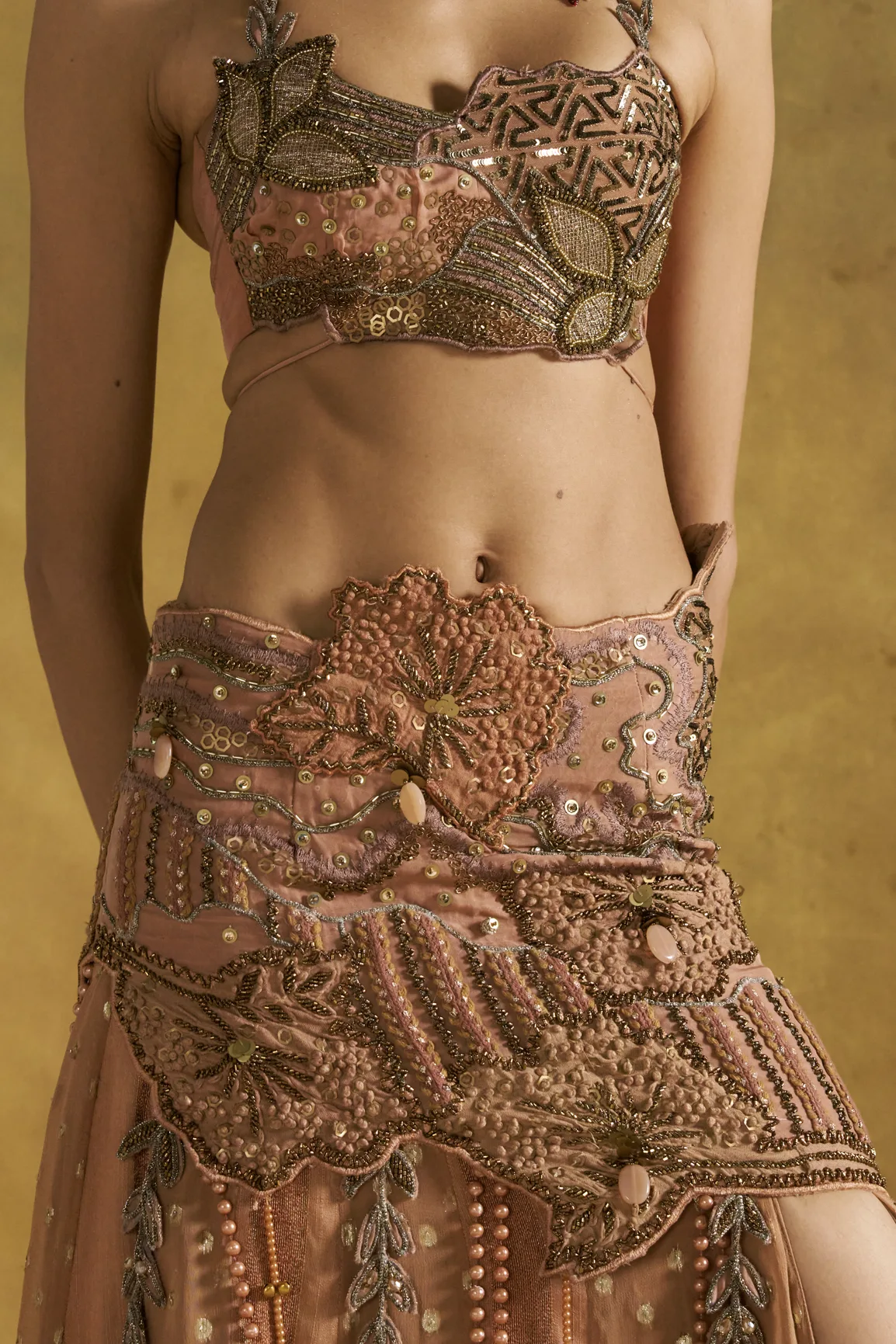 Mashoqa Lehenga Set by Rishi and Vibhuti, view 4