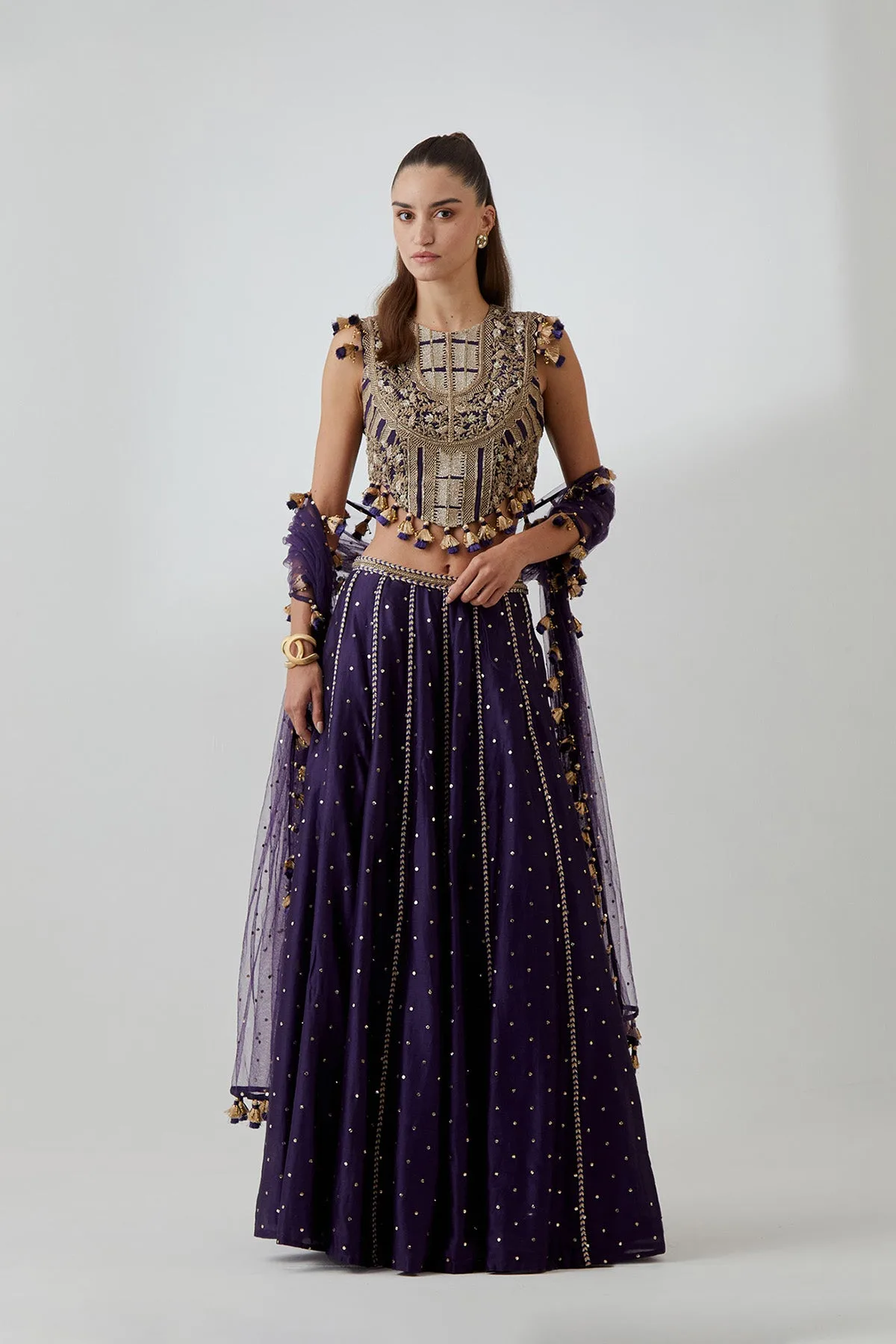 Purple Georgette Embroidered Choli With Mukaish Silkmul Lehenga And Mukaish Net Dupatta by Payal Singhal